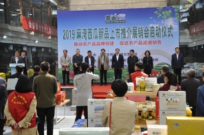 东营市供销合作社联合社 工作动态 市供销社举办2019黄河口农产品品牌创建麻湾西瓜新品上市推介周活动启动仪式