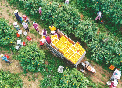 在线等,挺急的!贫困地区的滞销农产品怎么卖出去?