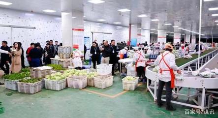 “云菜集采联盟”启动 300余家生鲜配送公司助力云菜出滇