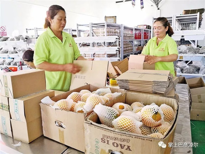 “塞外粮仓”变身“天下厨房”