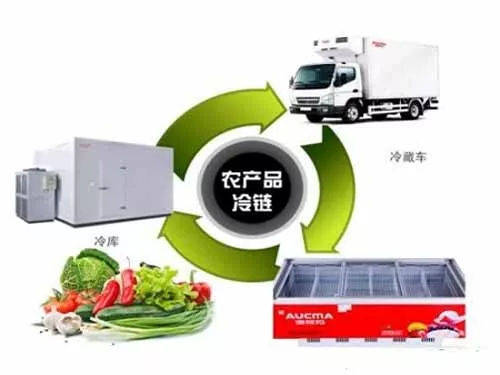 农产品的冷链物流体系如何搭建?