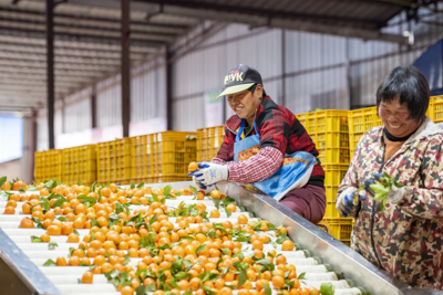 @这10类人,这些“新”举措跟你有大关系!