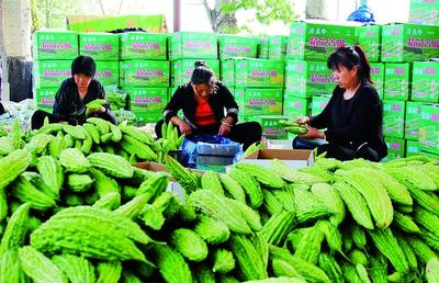 2020年黄河金三角(曲沃)国际果蔬博览会新闻发布会成功举办