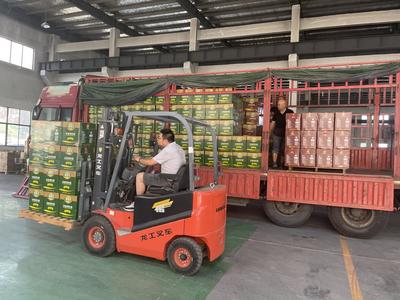 南京润立农产品公司:全力保障农产品流通销售