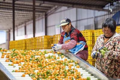 未来生活是什么模样?一起来看看