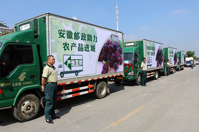 安徽邮政助力农产品进城 肥西17万斤红提有了销路