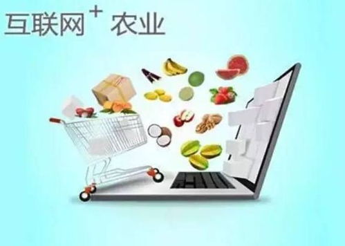 互联网 助农增收