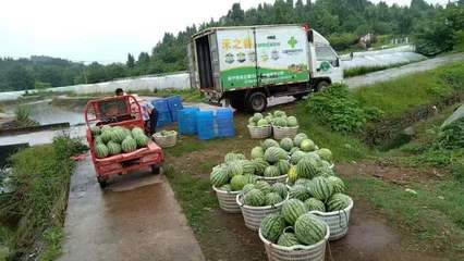 遂宁市供销社:做实“一”字文章,激活 农产品流通领域“一池春水”