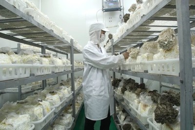 推荐一只超低估值的“消费股”