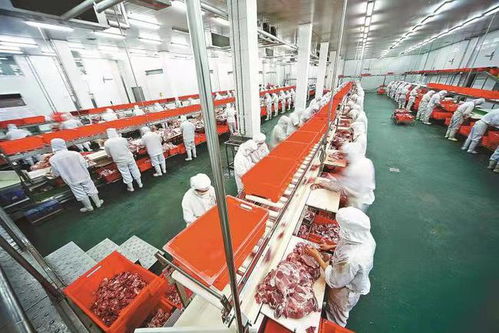 农洽会打开 国际朋友圈 , 国际农都 驻马店再出发