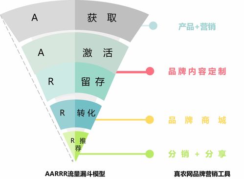 真农观察 一切生意基于流量和信任