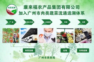 什么是省重点农业龙头企业?康来福获取评选都做对了哪些事?