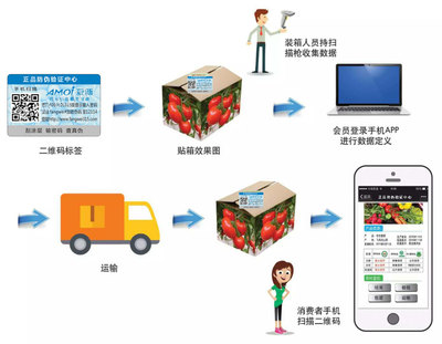 二维码溯源系统 让安全看得见的产品流通服务