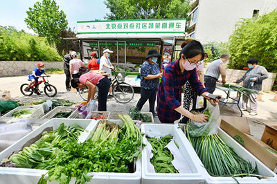 统一标识、高效配送——300吨鲜菜直送丰台社区助力民生