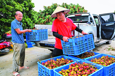抢占“鲜”机——农产品流通跑出加速度