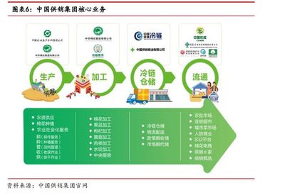 公告提示多重风险！供销社概念龙头八连板，产品流通服务引关注