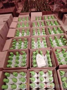 马来西亚日用品高效进口全攻略 空运快递与产品流通一站式服务